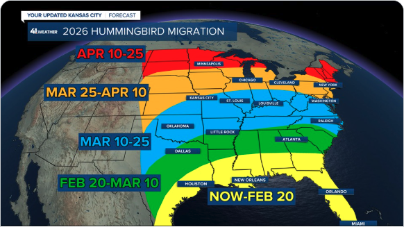 Hummingbird migration map shared around the first Lake Waukomis feeder chatter